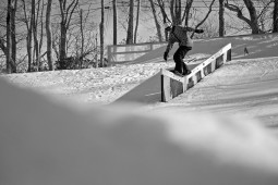 Park Gallery 2-15-11