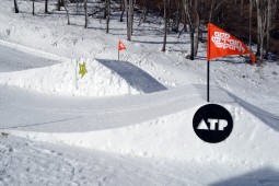 ATP Survey!
